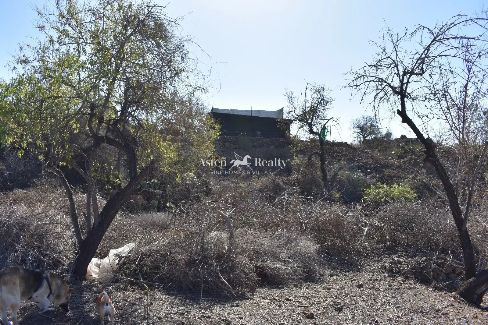Terreny residencial en venda a 20 Hoya Grande, imagen 9