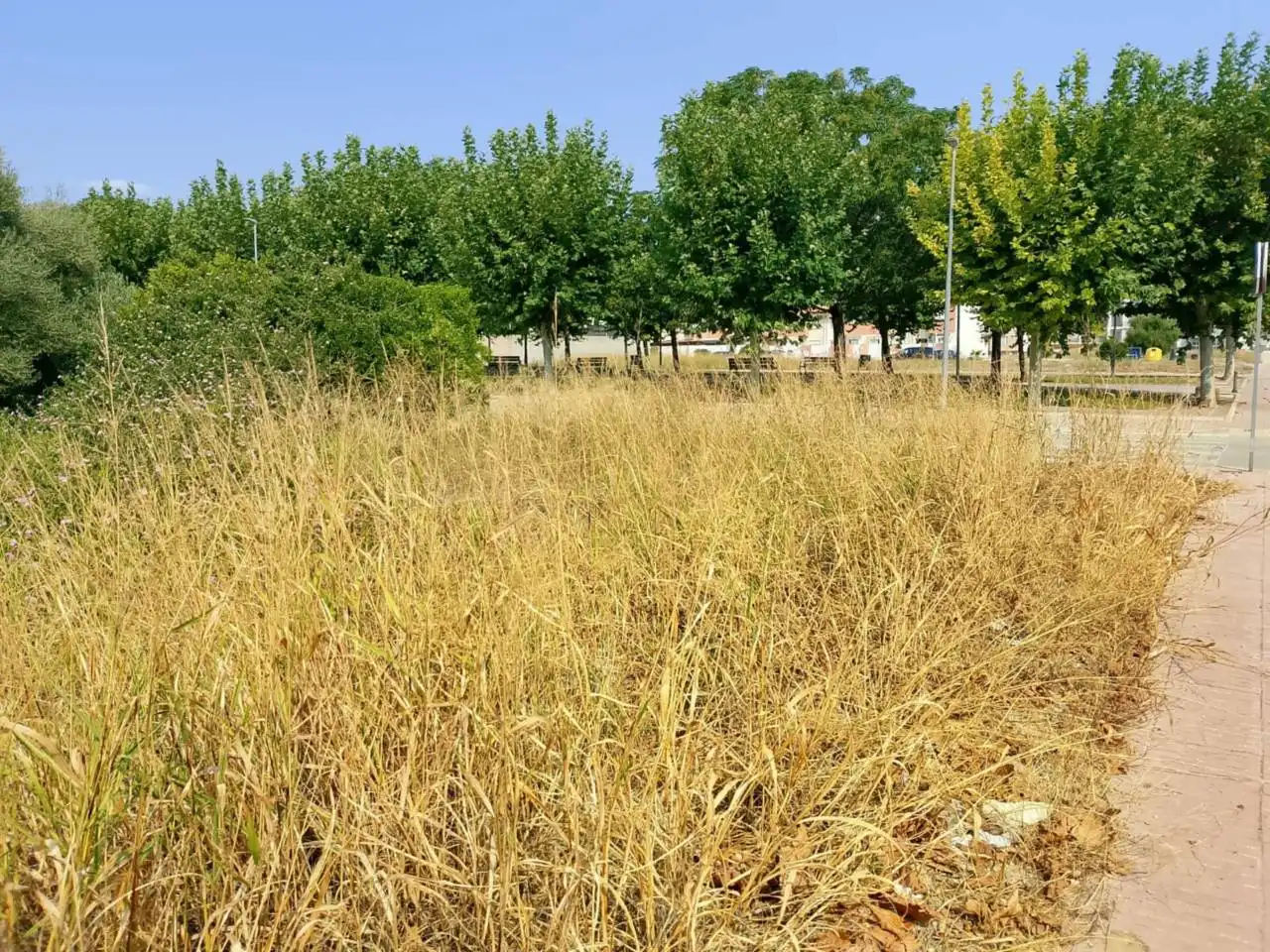 Land for sale in Calle Botánico Cabanilles, Piles