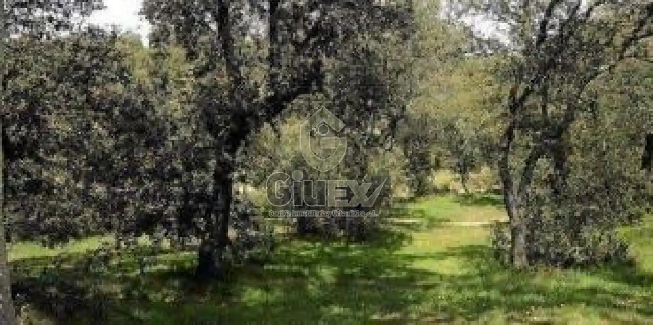 Land for sale in Los Pozuelos de Calatrava  