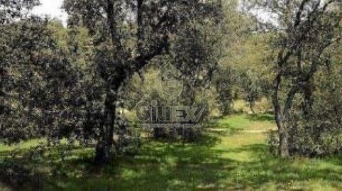 Foto 3 von Grundstücke zum Verkauf in Los Pozuelos de Calatrava , Ciudad Real