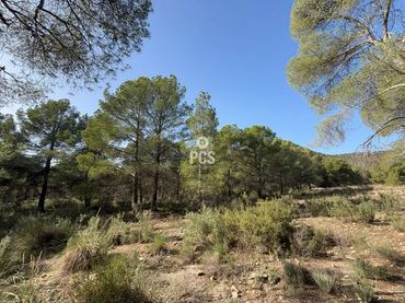 Rustikales Grundstück zum Verkauf in Calle Sierra Espuña Anexo Balsa Grande 1 S/N