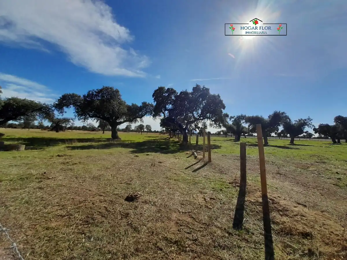 Finca rústica en venta en Carrascal del Obispo