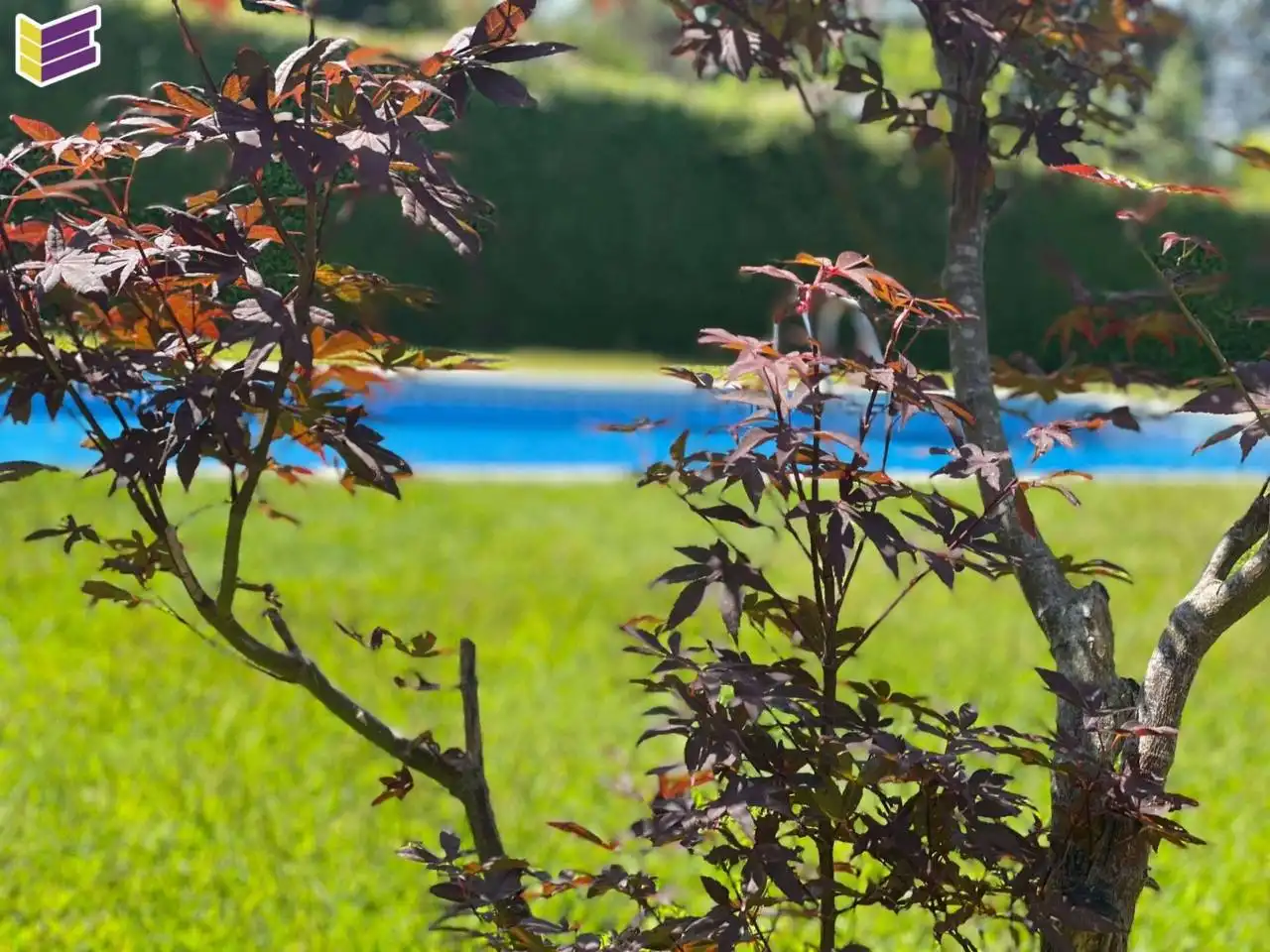 Piscina de Casa o xalet de lloguer en Gondomar amb Calefacció, Jardí privat i Terrassa