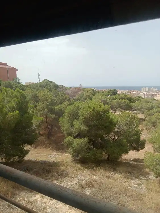 Pis amb terrassa en venda a Santa Pola ciudad, imagen 15