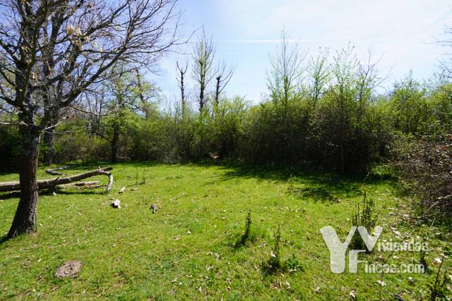 Terreno en Venta en Calle Cortes, 1 en Campillo de Ranas