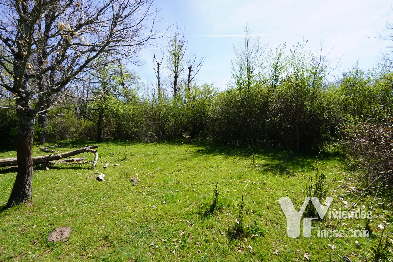Terreno rústico en venta en Campillo de Ranas