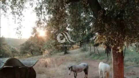 Foto 3 de Casa o xalet en venda a Cerro Muriano,  Córdoba Capital