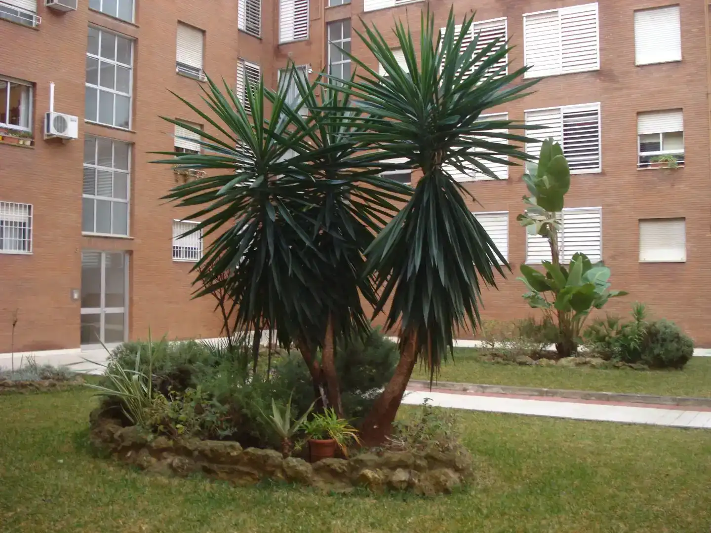 Jardí de Apartament de lloguer en Sevilla amb Aire condicionat, Jardí privat i Moblat