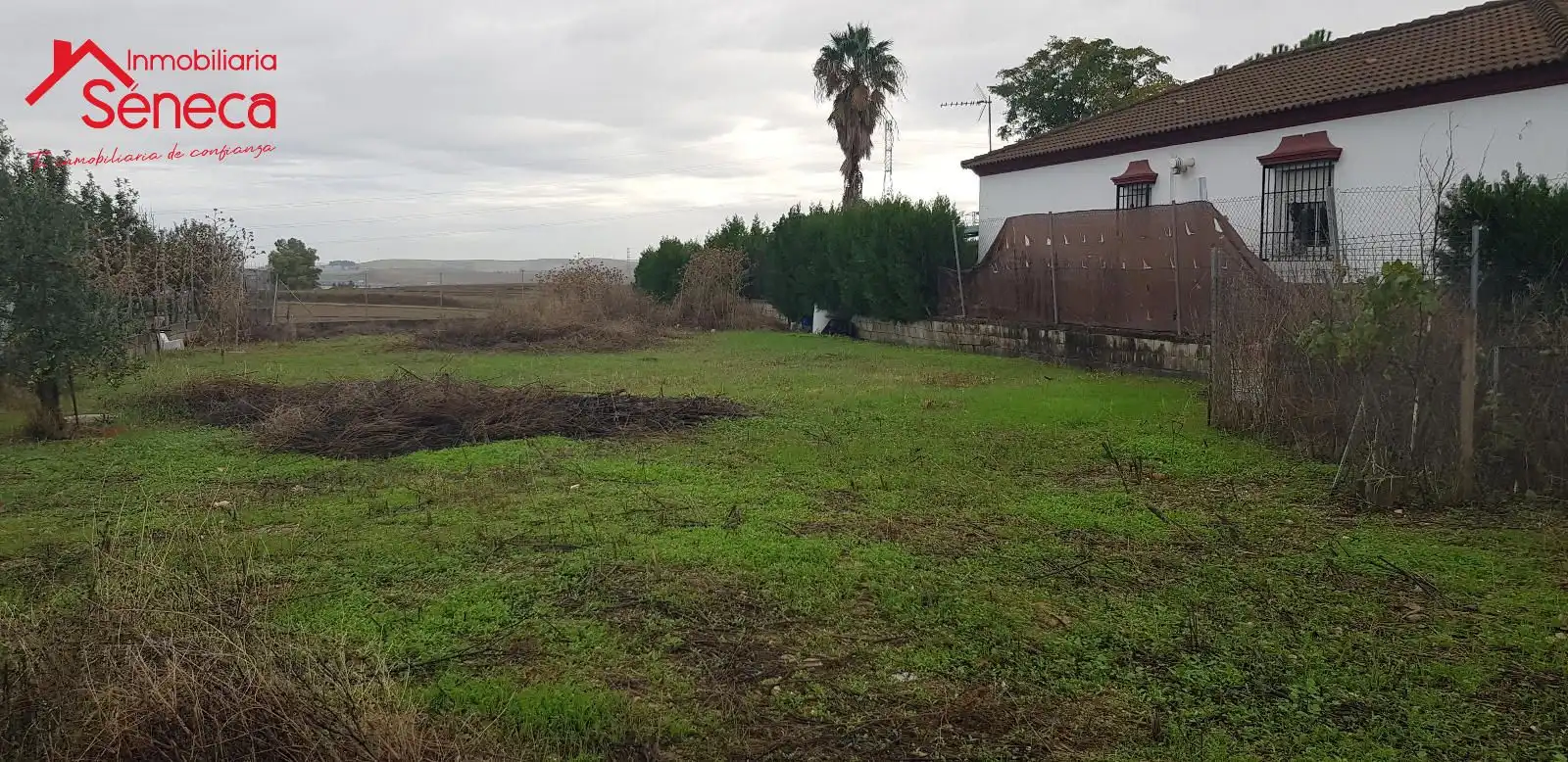 Terreny rústic en venda a MIRALQUIVIR, imagen 2