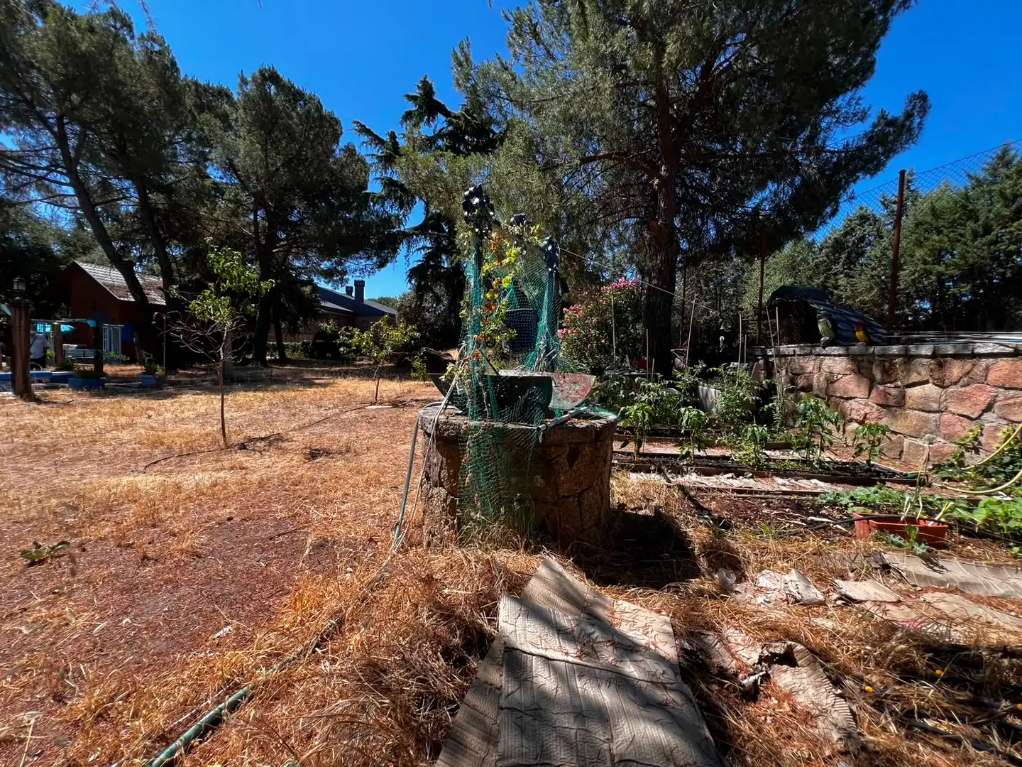 Wohnbaugrundstück zum Verkauf in Casa Amarilla, imagen 22