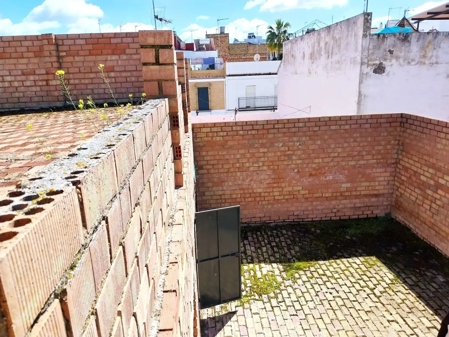 Vista exterior de Casa o xalet en venda en Carmona