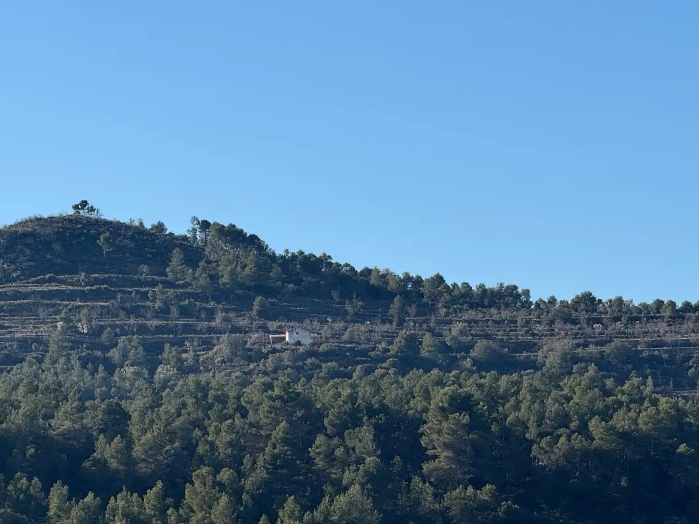 Terreni e lotti in vendita a Valderrobres, imagen 20