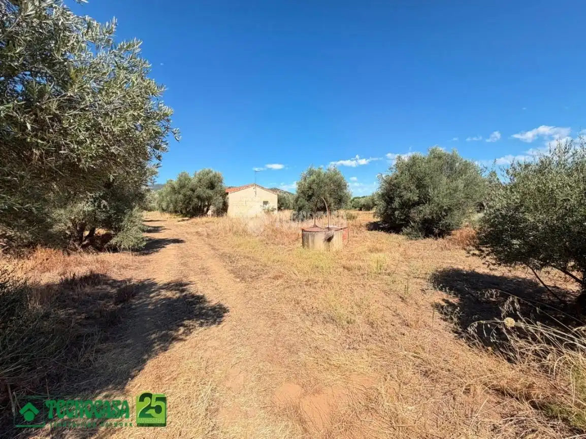 Houses for sale in Piedrabuena