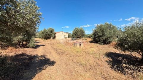Foto 4 de Casa o xalet en venda a Polígono 10 Parcela 966 Torrecia. Piedrabuena, Piedrabuena, Ciudad Real