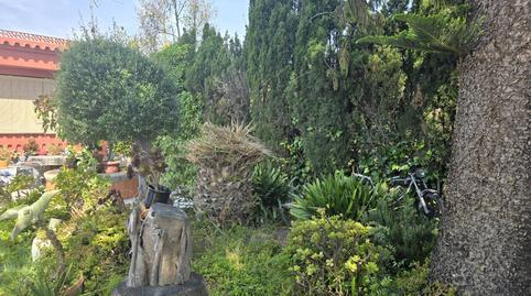 Foto 4 de Casa o xalet en venda a Camí de la Plana, 106, Pau Lledó, Castellón