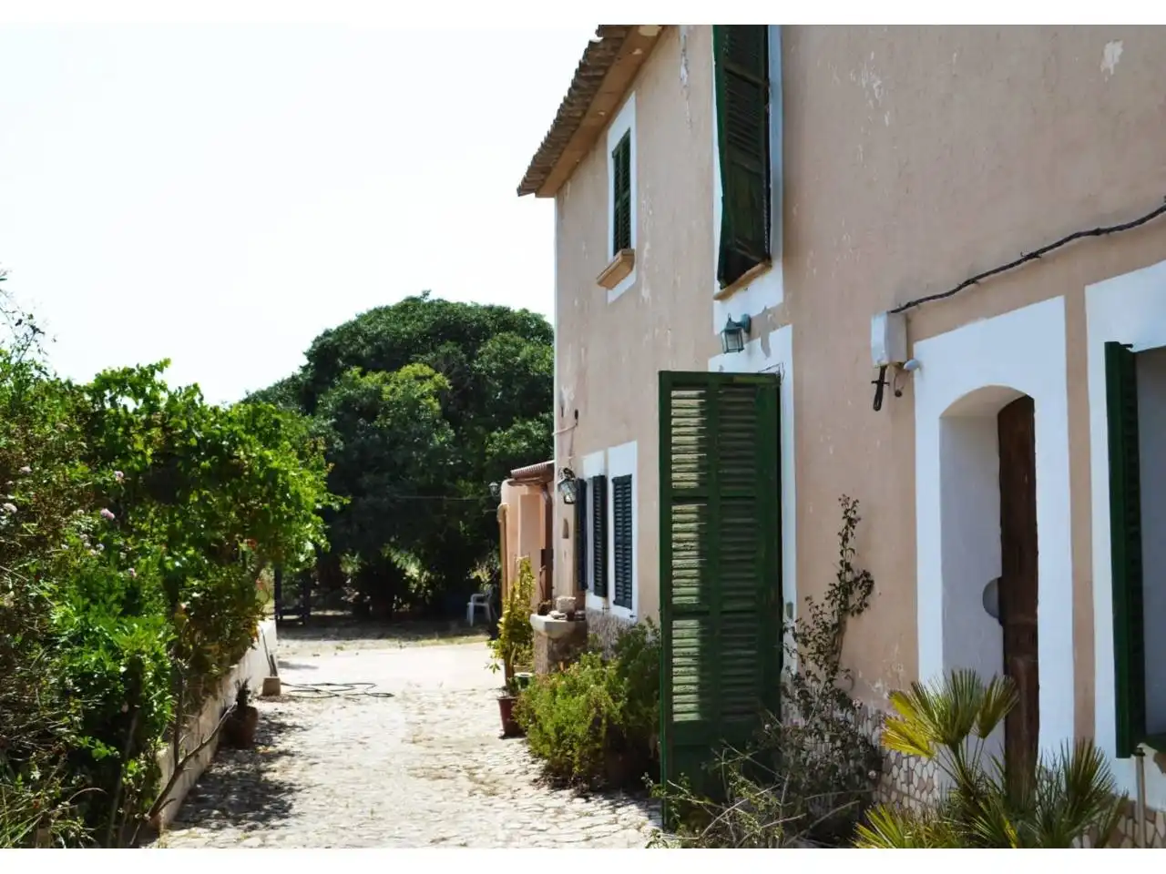Vista exterior de Casa o chalet en venta en  Palma de Mallorca con Jardín privado y Terraza