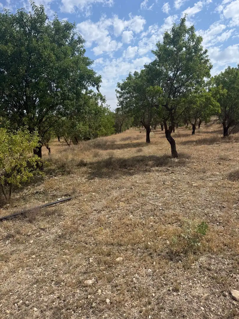 Terrenys i solars en venda a Biar, imagen 6