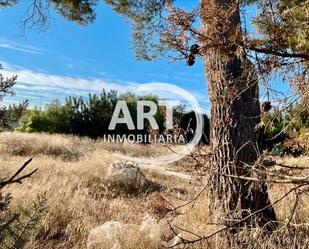Residencial en venda en L'Eliana