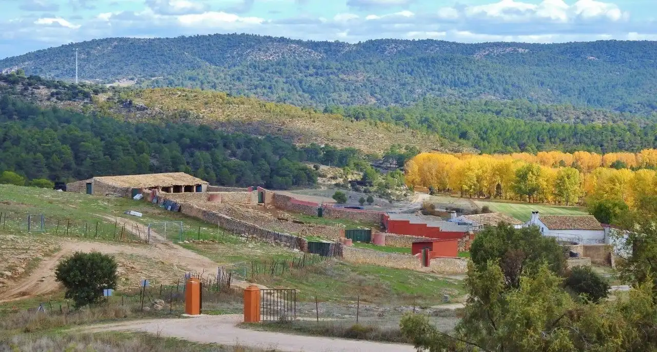 Vista exterior de Finca rústica en venda en Villar de Olalla