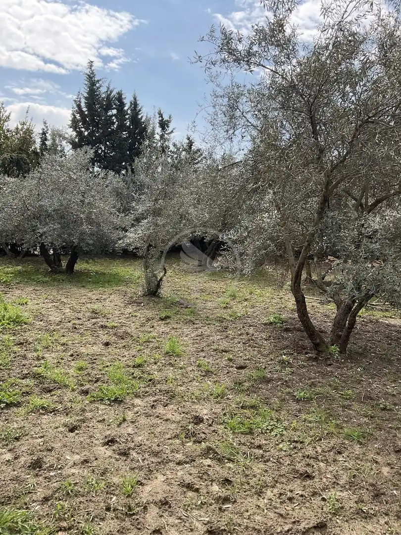 Finca rústica en venta en Linares con Jardín privado y Piscina