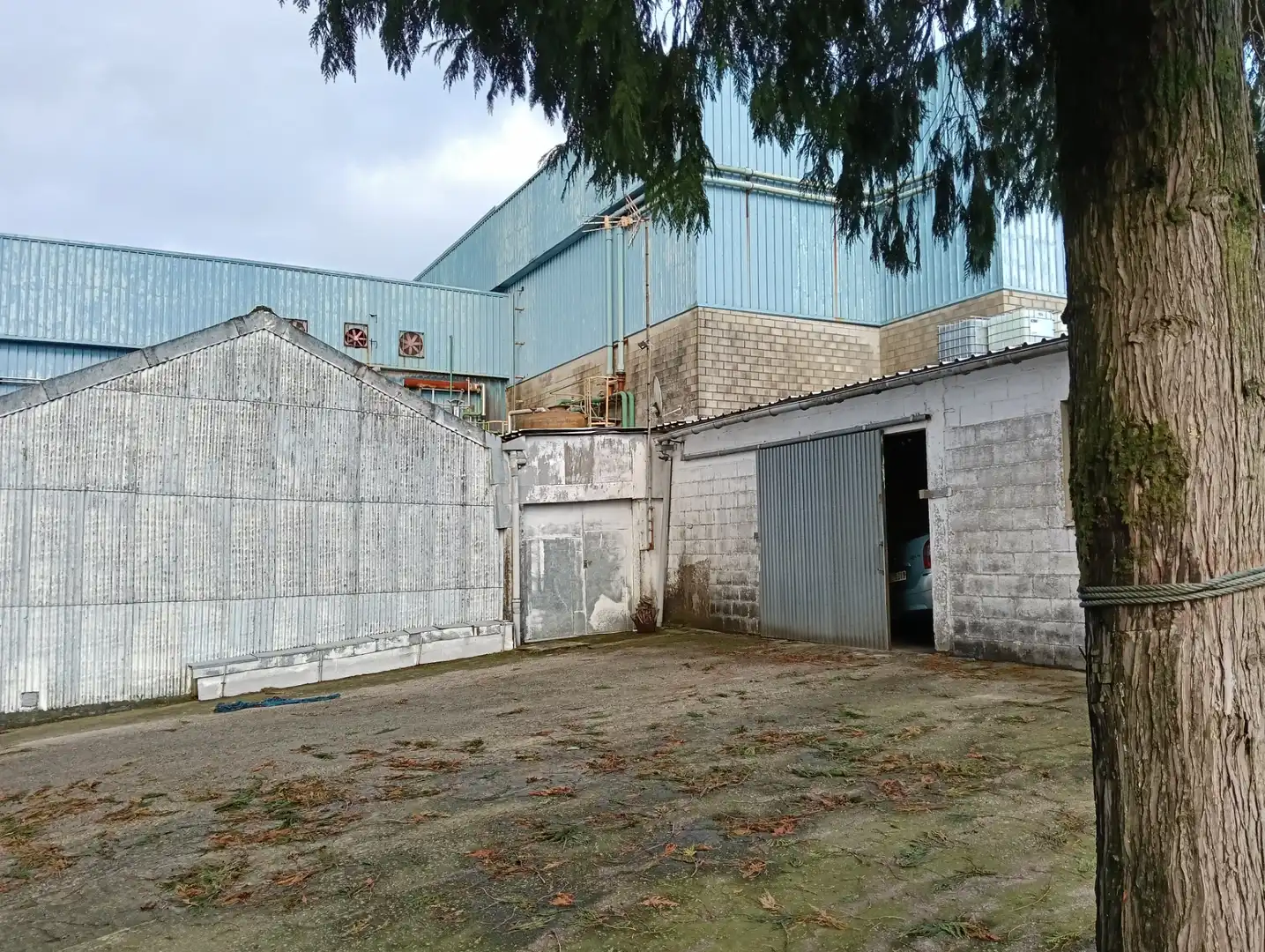 Casa con jardín en venta en Curtis, imagen 23