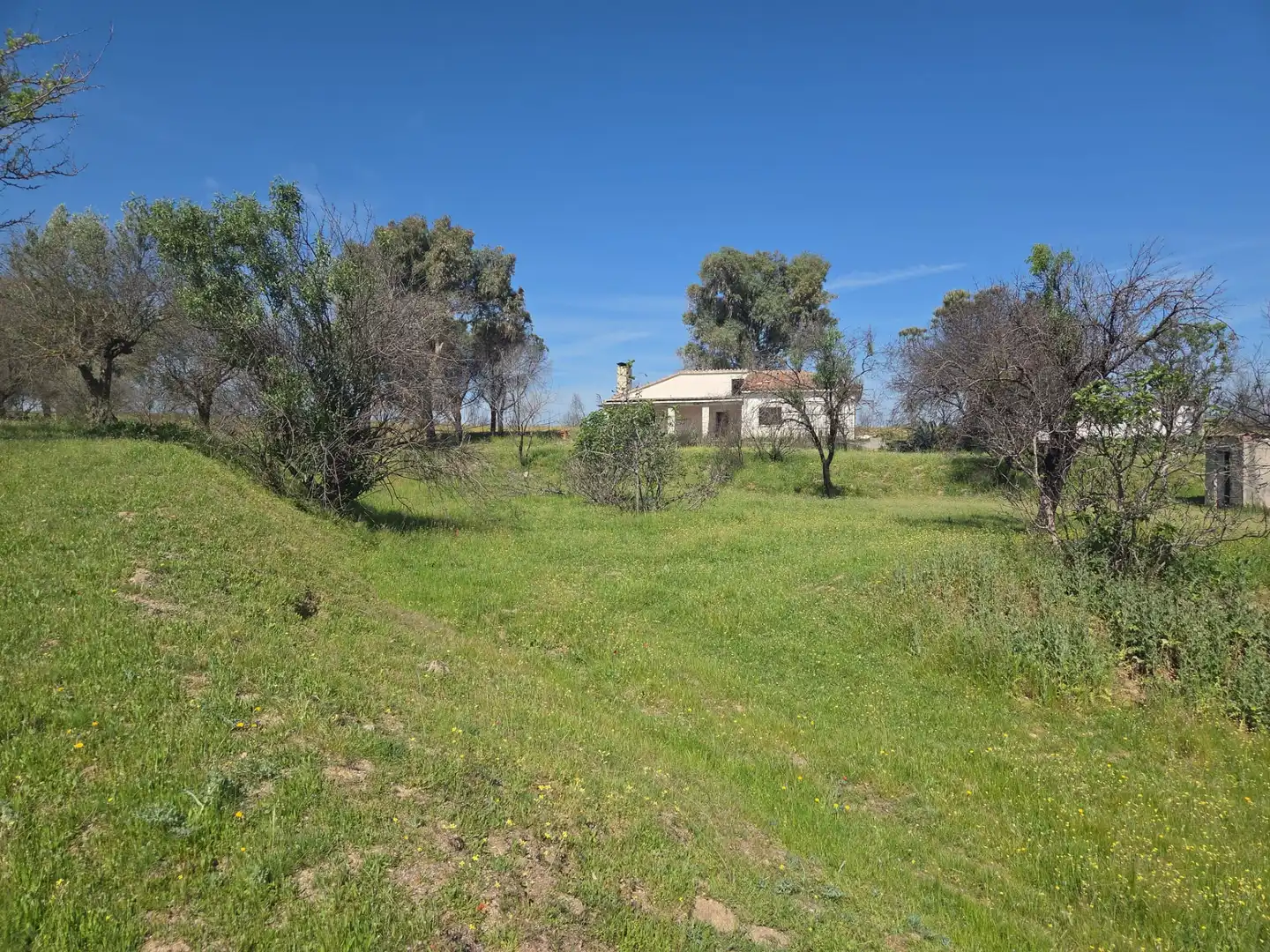 Finca rústica en venta en Navalcarnero