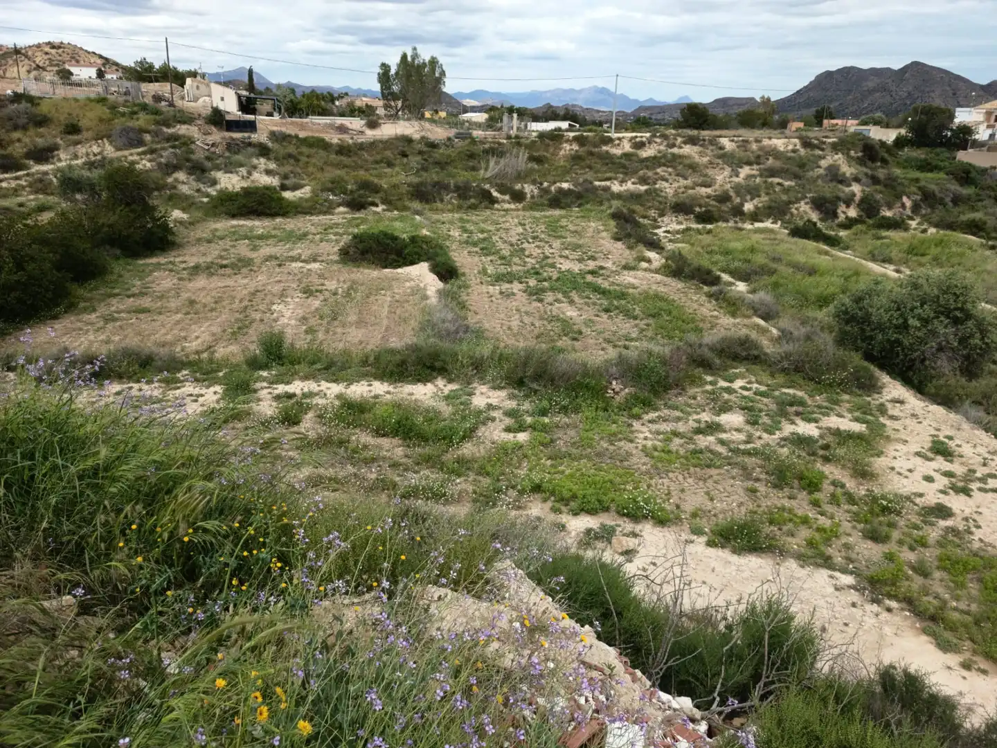 Finca rústica en venda en San Vicente del Raspeig / Sant Vicent del Raspeig