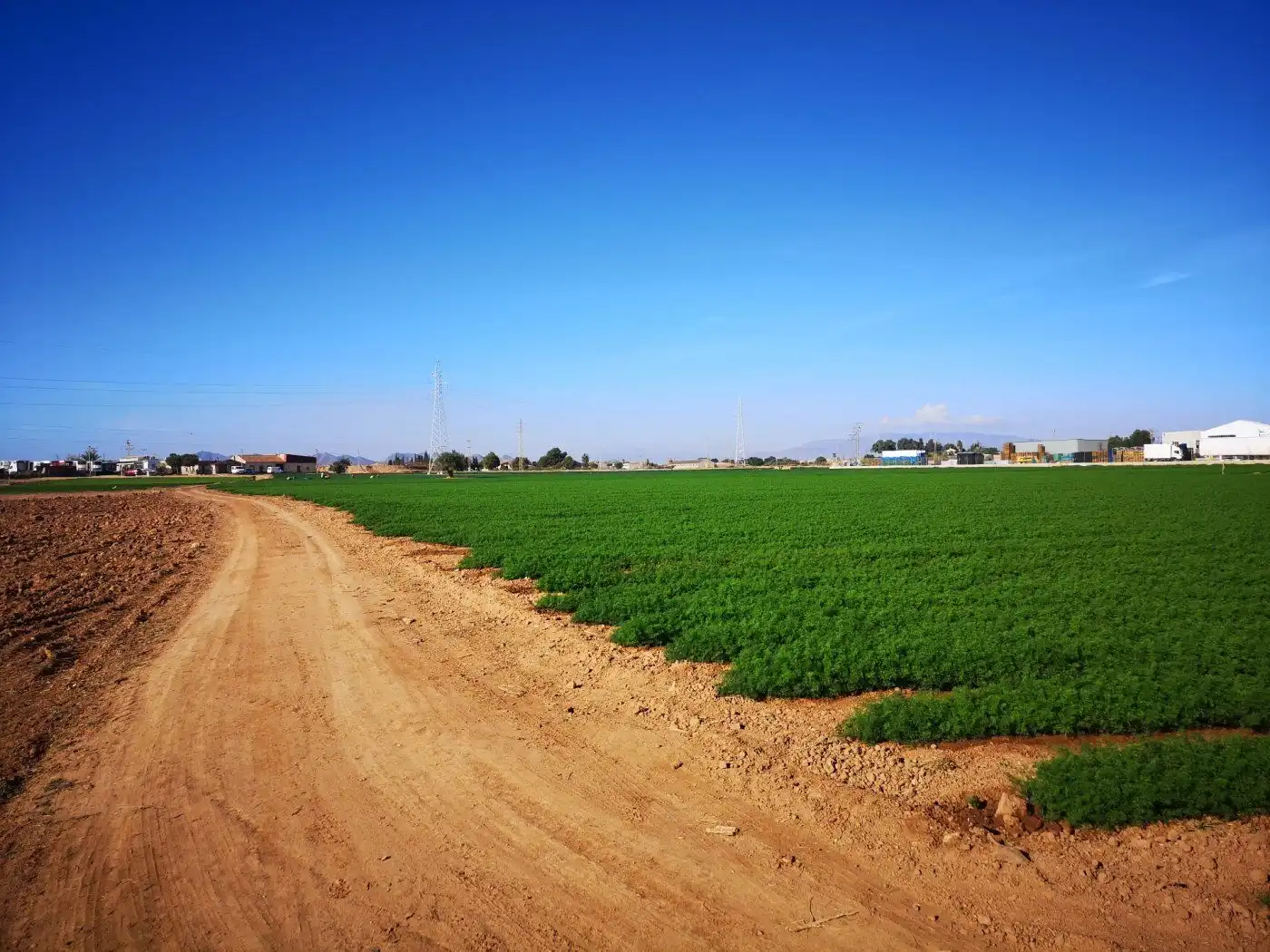 Finca rústica en venta en Cartagena