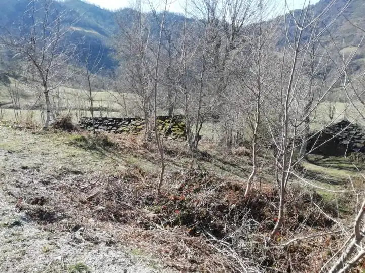 Country house zum Verkauf in Mieres (Asturias)