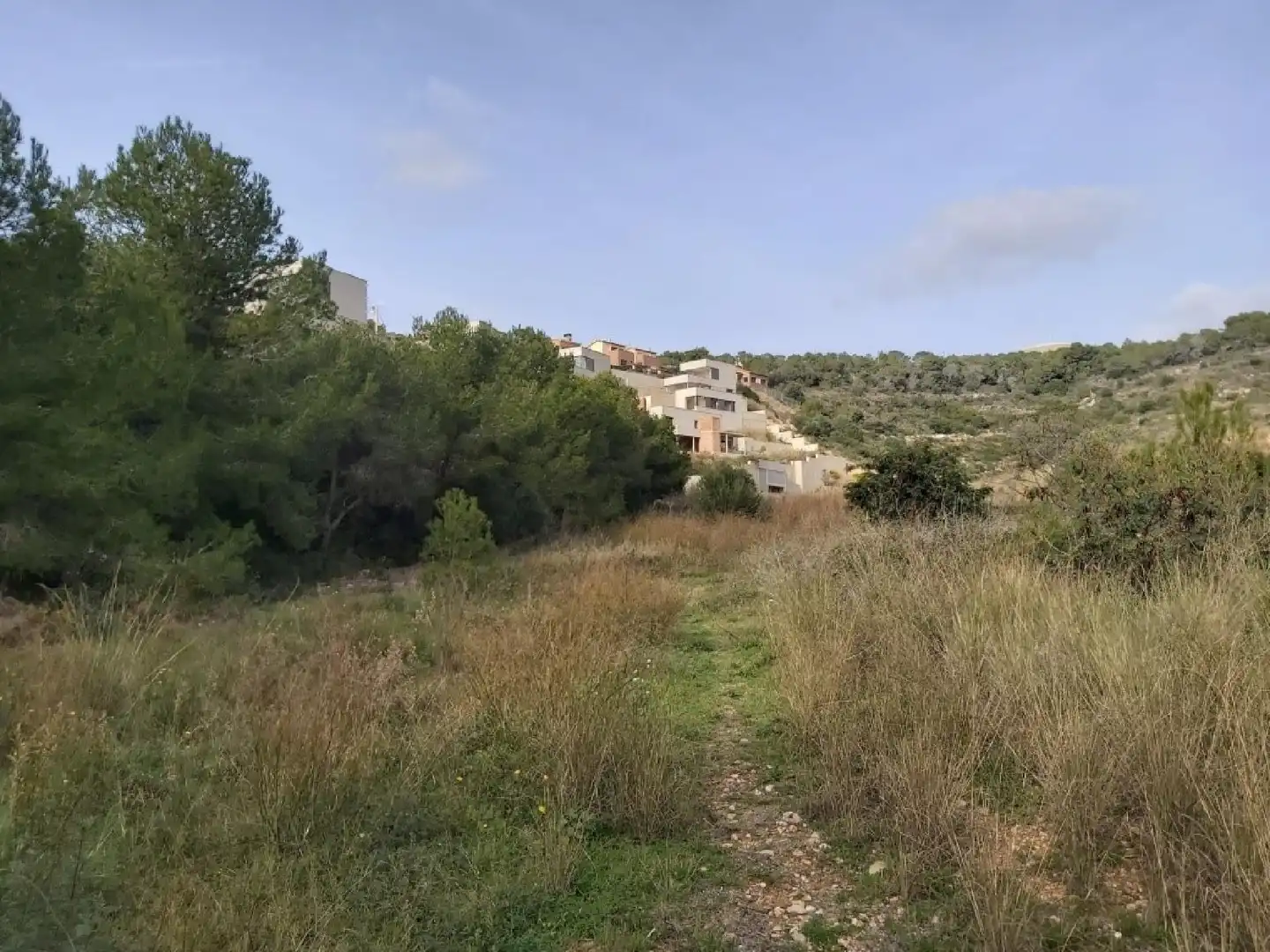 Lands and plots for sale in Roda de Barà, imagen 14