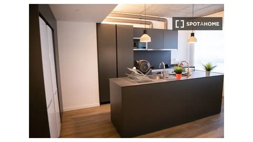 Cocina de Casa o chalet para compartir en Barcelona con Aire acondicionado, Terraza y Amueblado