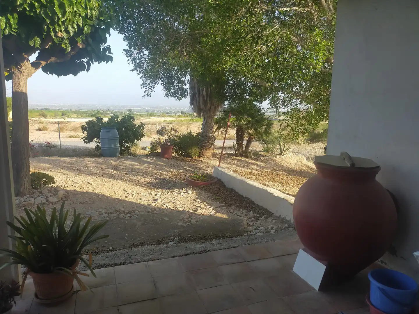 Jardín de Casa o chalet en venta en Albatera con Amueblado