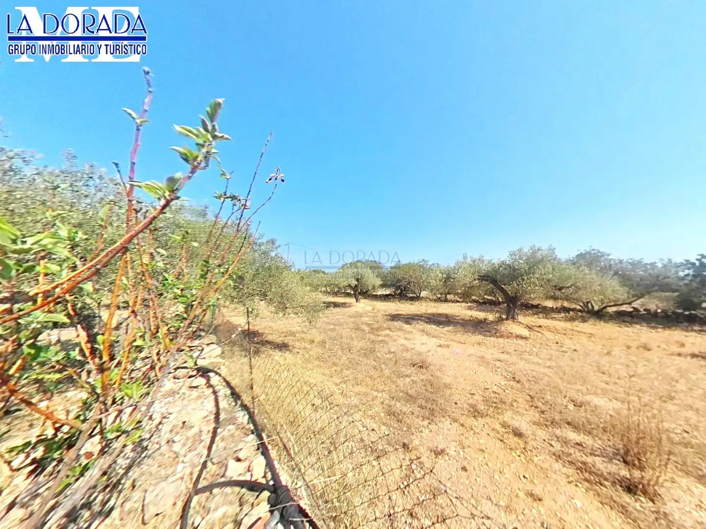Country homes for sale in Vandellòs i l'Hospitalet de l'Infant