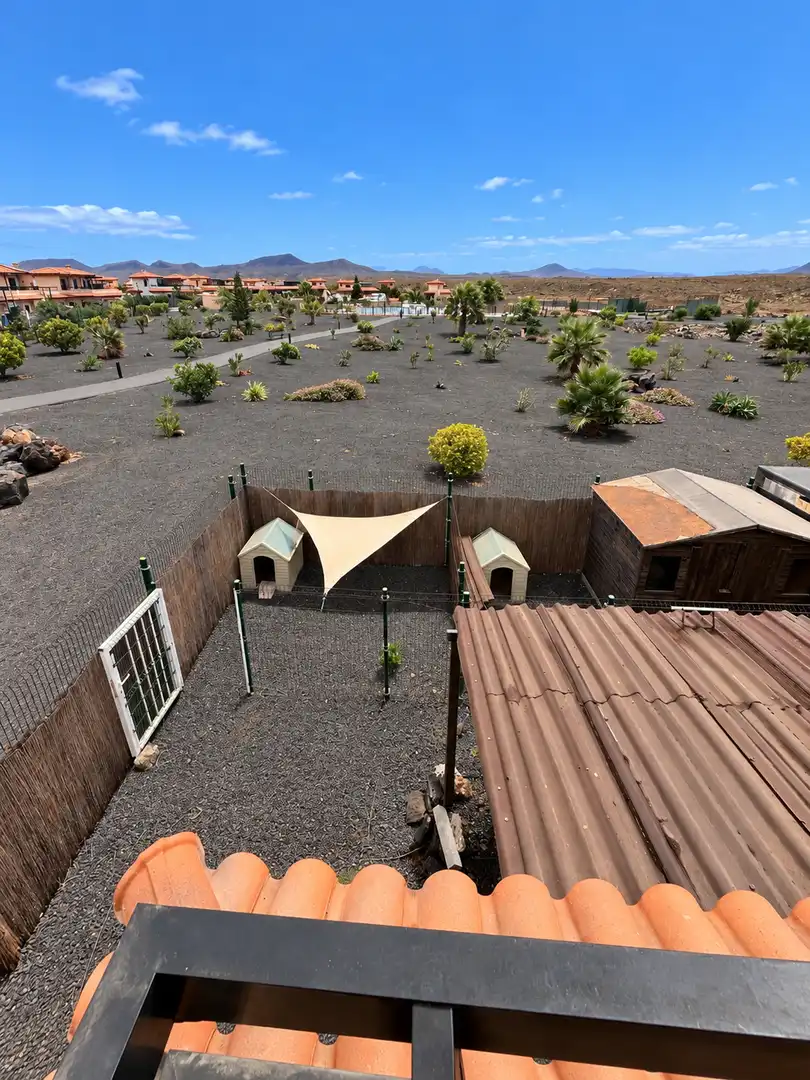 Jardín de Casa o chalet en venta en La Oliva con Terraza, Amueblado y Piscina comunitaria