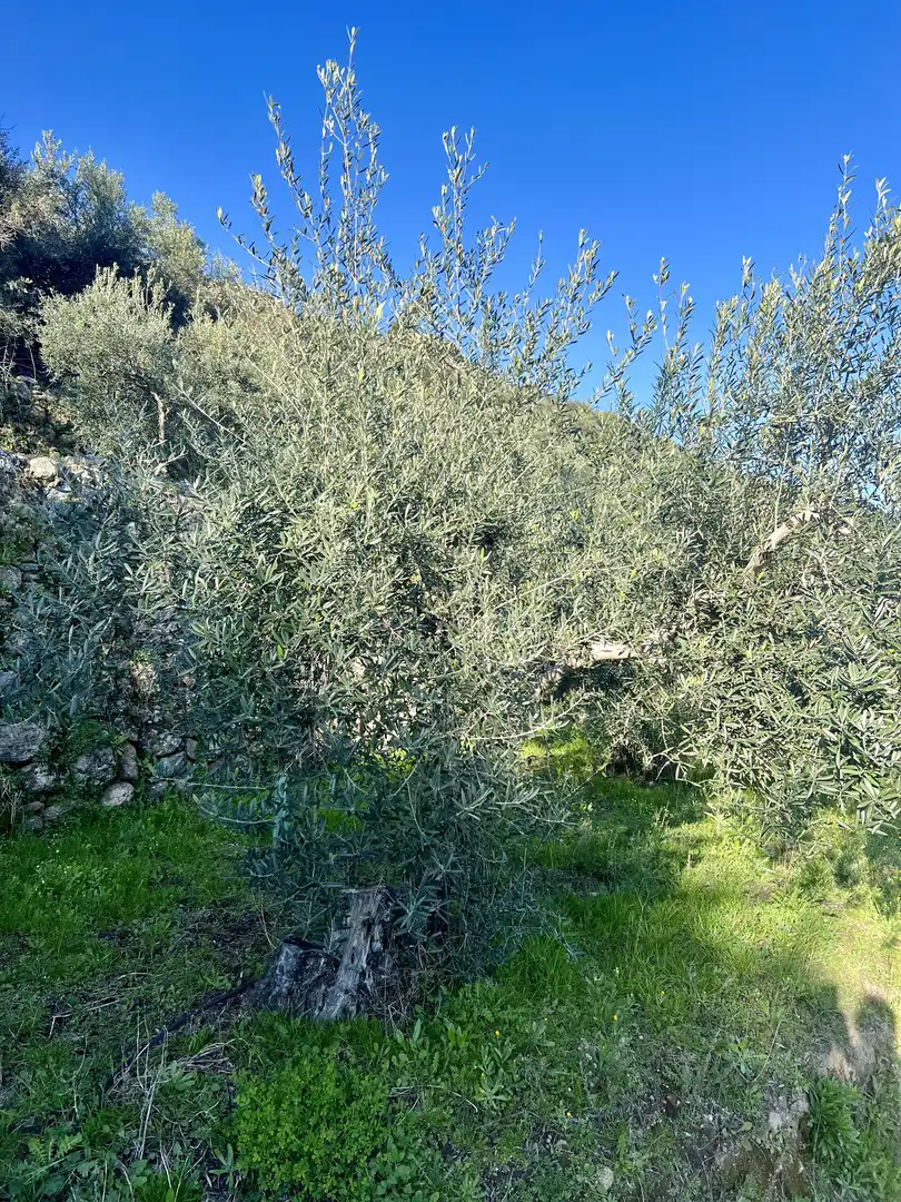 Terreni e lotti in vendita a N/A, imagen 10