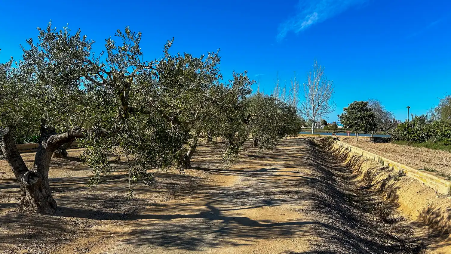 Terreny rústic en venda a Sant Jaume d'Enveja, imagen 9