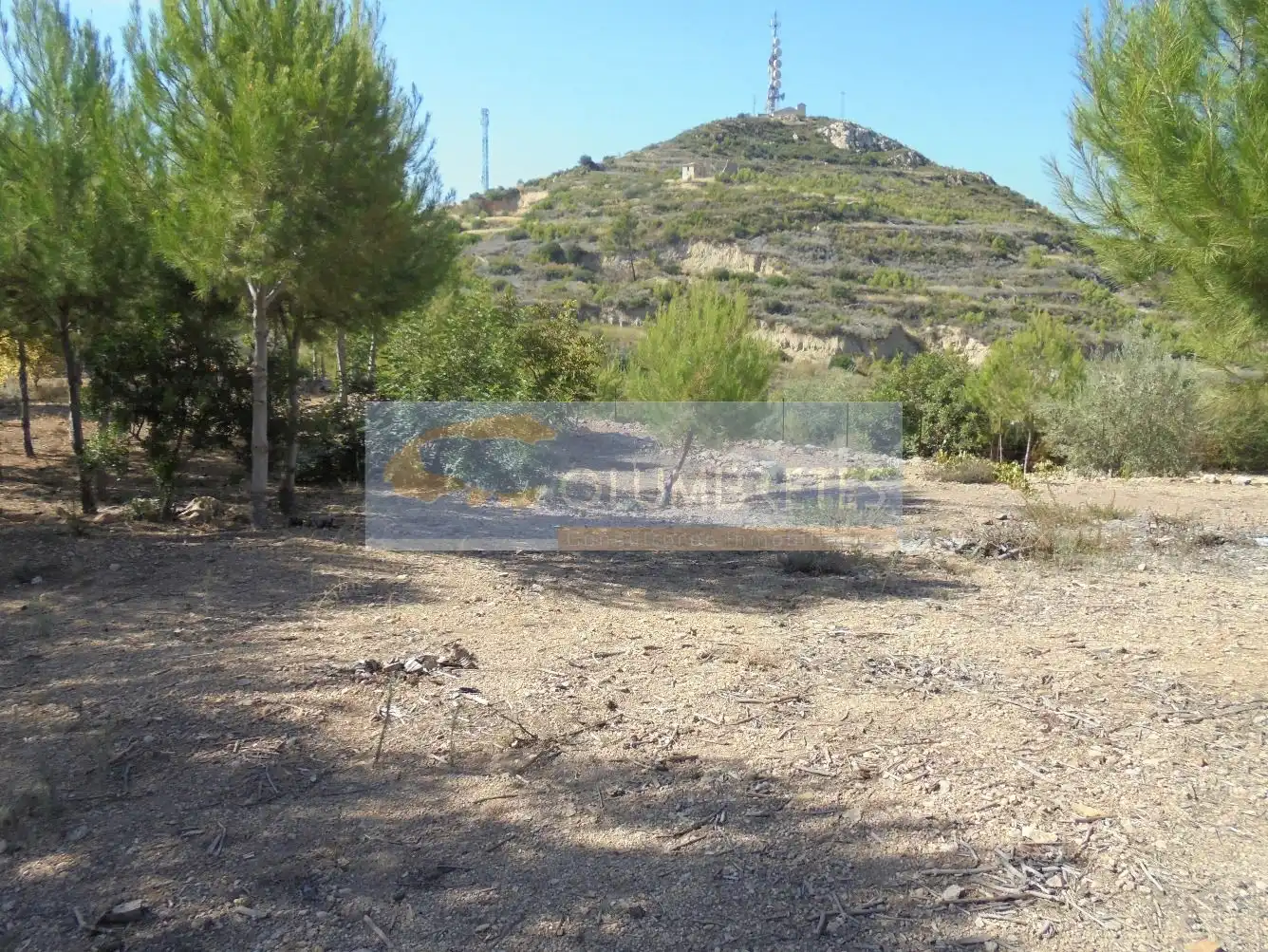 Casa o chalet en venta en Castellón de la Plana / Castelló de la Plana con Jardín privado, Terraza y Trastero