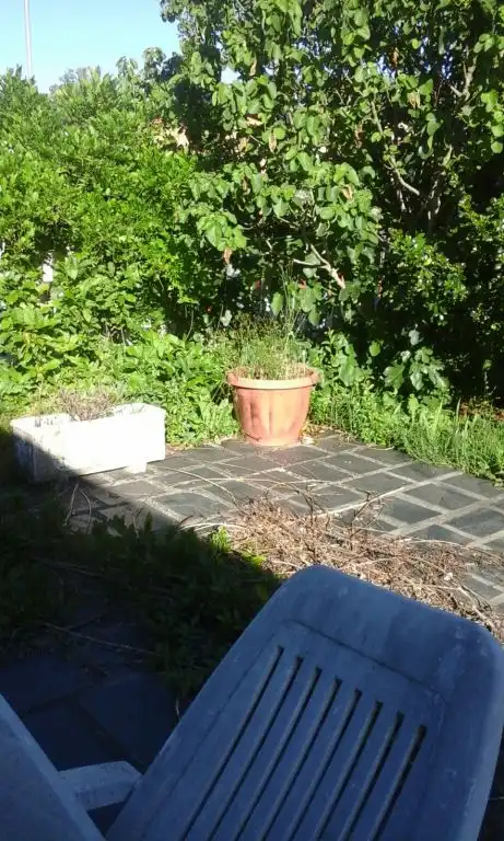 Terreni e lotti in vendita a Cacabelos, imagen 3