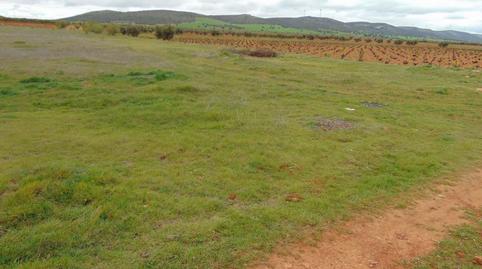 Photo 4 of Land for sale in San Carlos del Valle, Ciudad Real