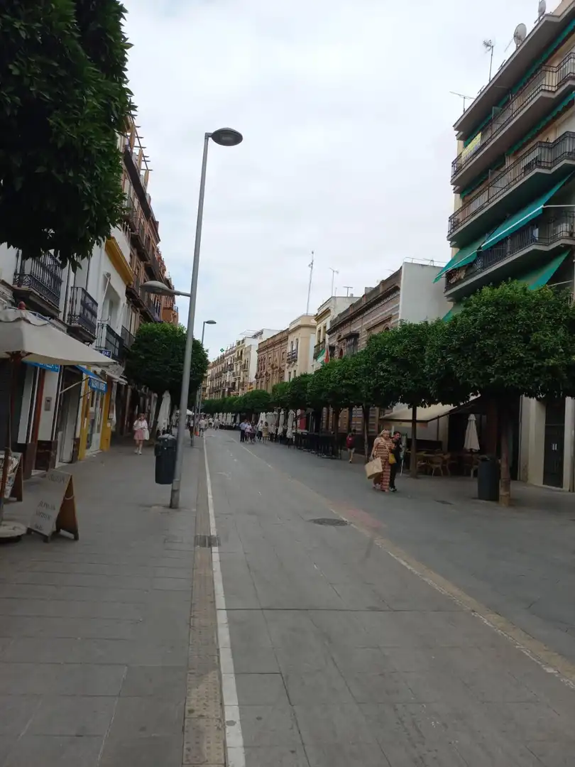 Flat with lift for sale in Calle SAN JACINTO, imagen 38