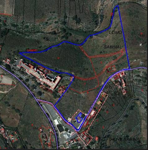 Terreno en Alquiler en lomo sabinal en Marzagán - Los Hoyos - La Montañeta