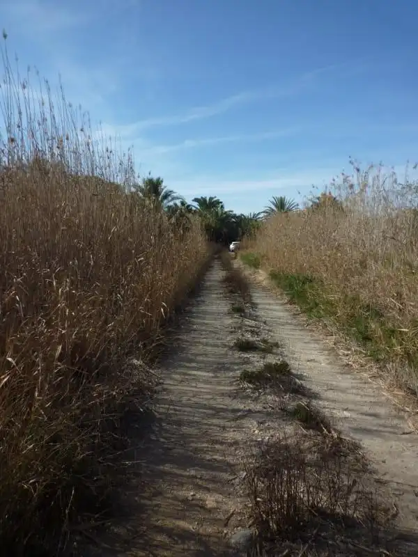 Terreno rustico in vendita a Calle Valle Inclán 7, imagen 14