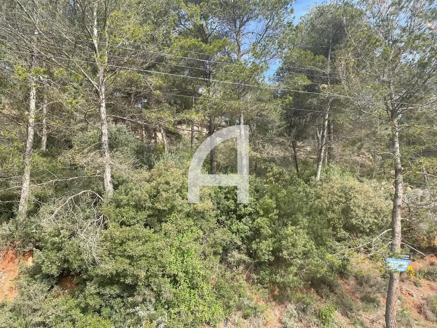 Rural land for sale in Ronda del Bosc, imagen 5