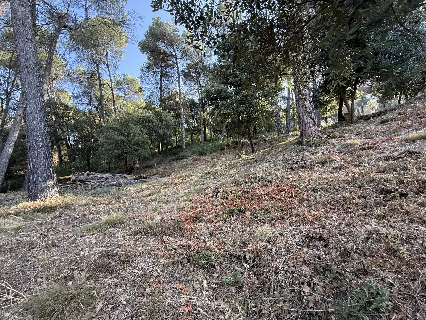 Terreno residencial en venta en d'Aiguafreda de Dalt 5, imagen 26