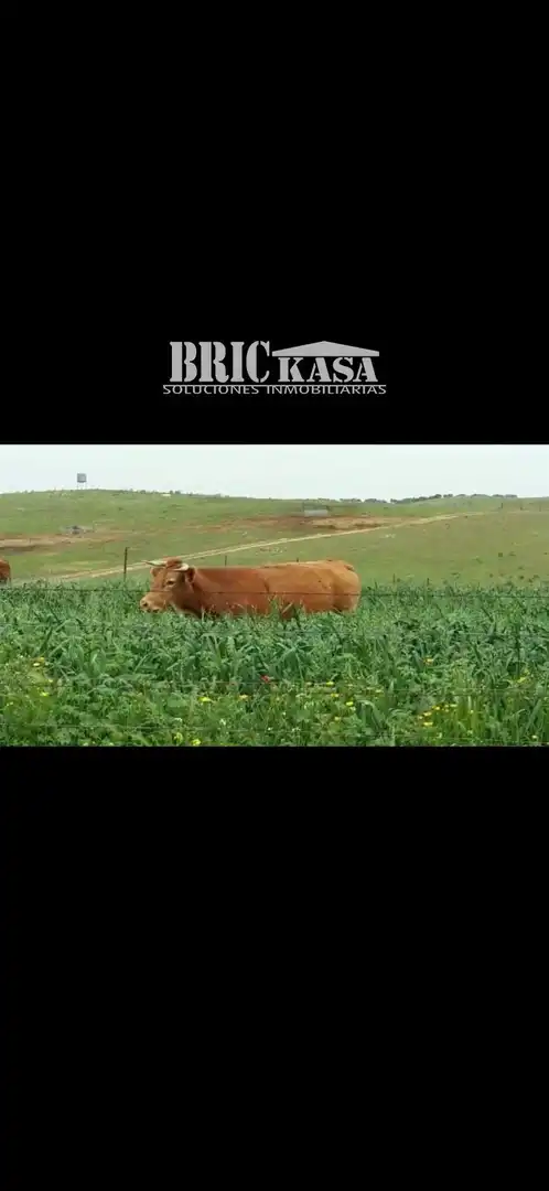 Terreno rustico in vendita a Villafranca de los Barros, imagen 2