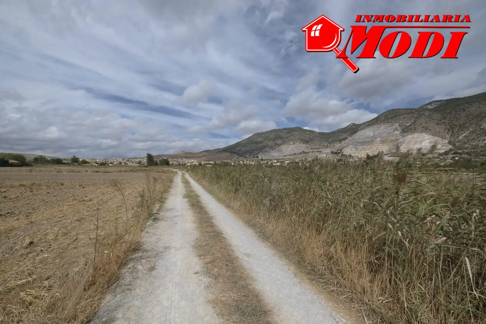 Terreni e lotti in vendita a Padul, imagen 6