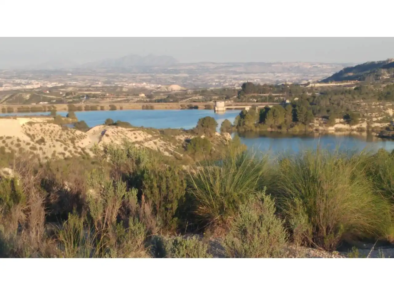 Lands and plots for sale in Ojós