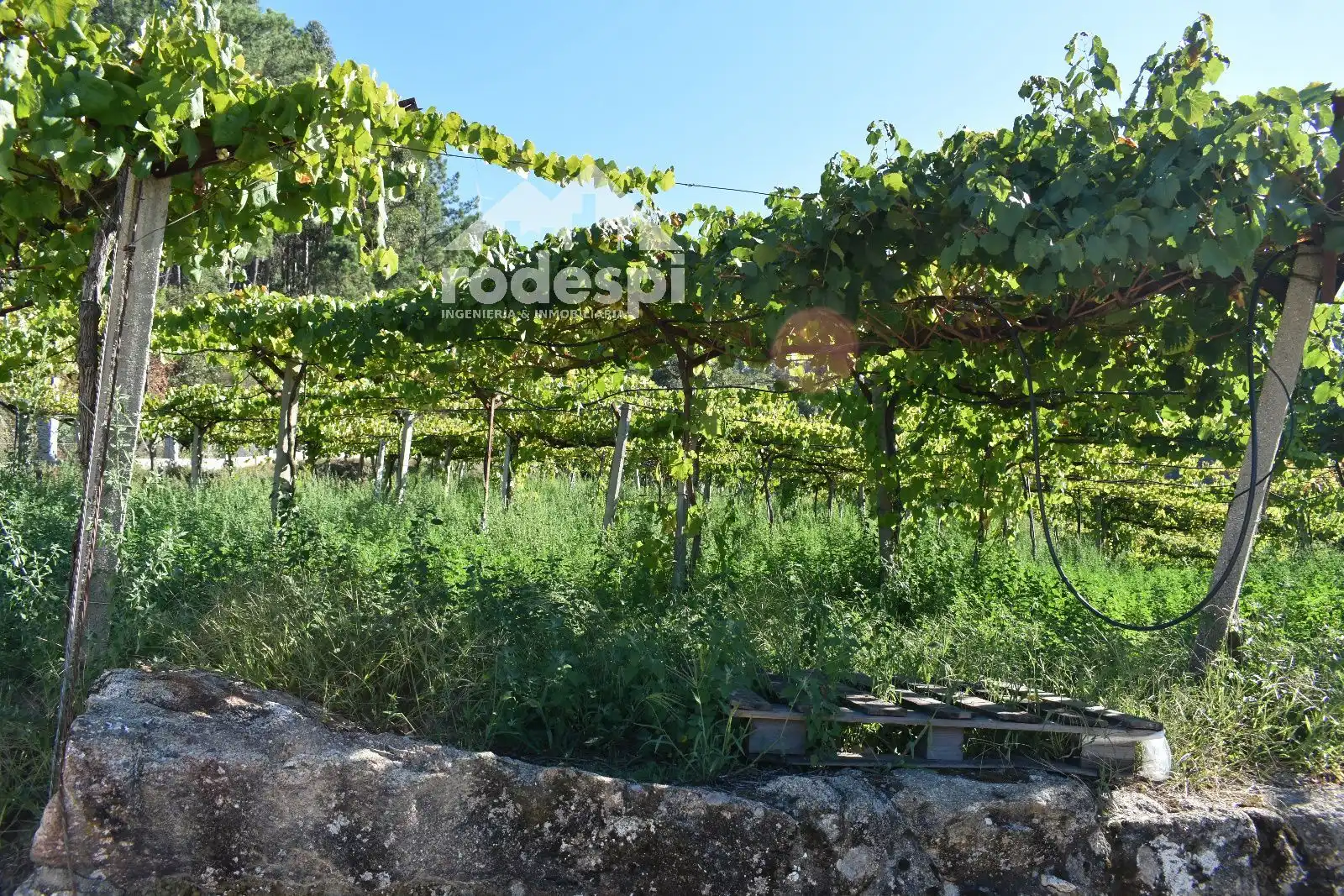 Villa mit Pool zum Verkauf in Crecente, imagen 4