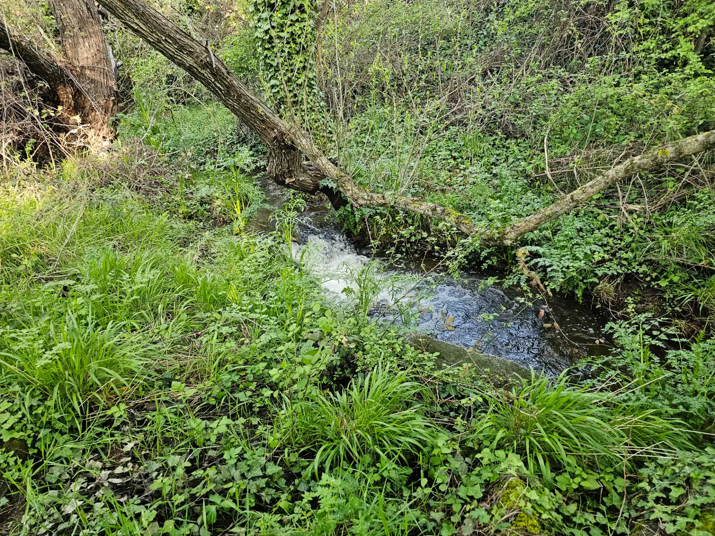 Rural land for sale in Zarzalejo, imagen 2