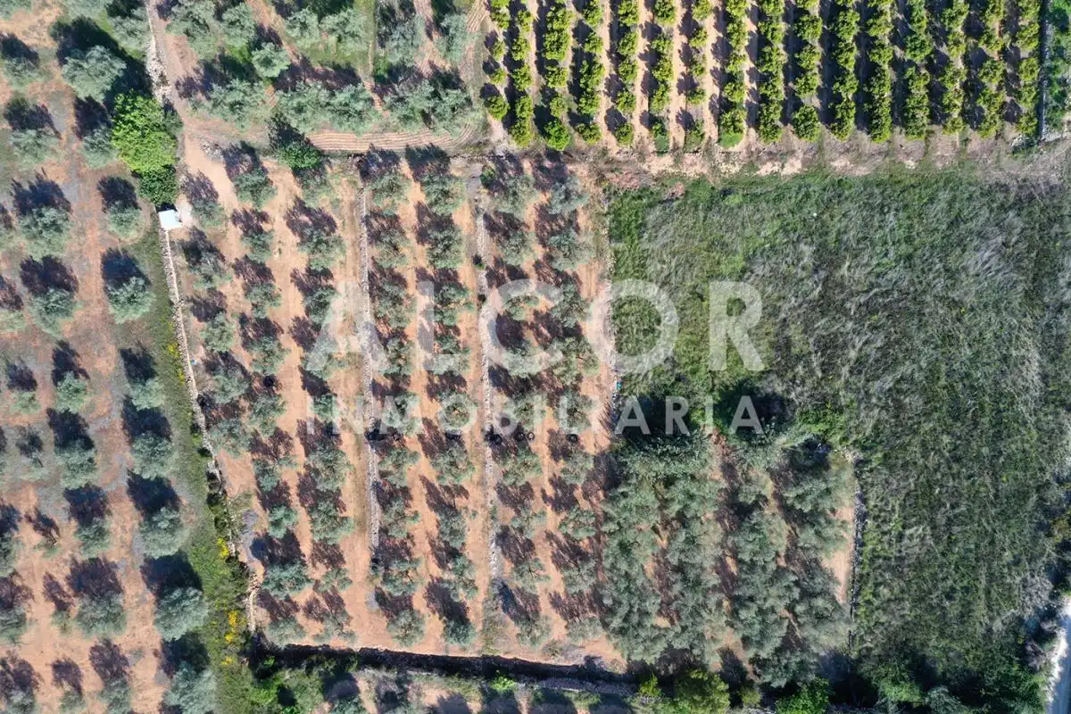 Finca rústica en venta en Cervera del Maestre